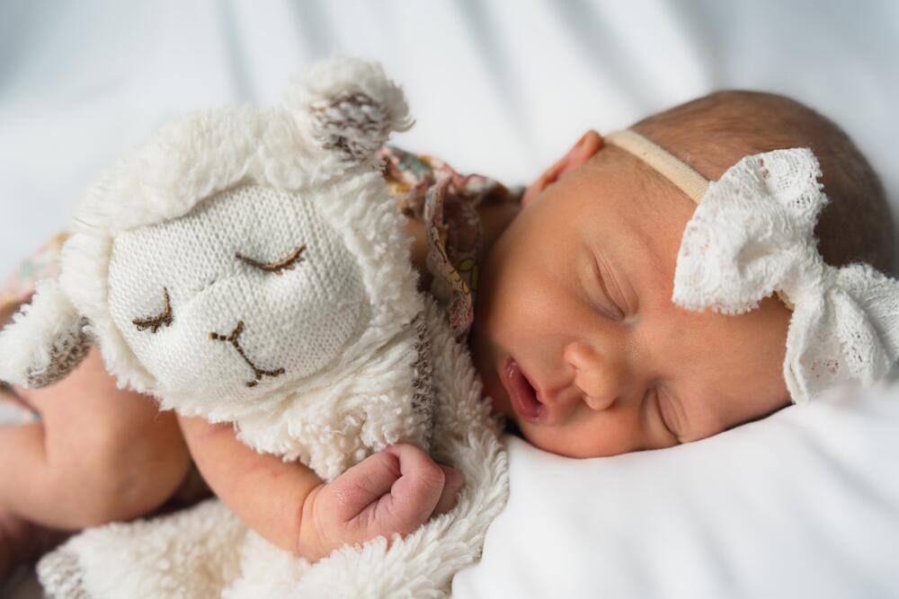 Sleeping newborn with a soft lamb